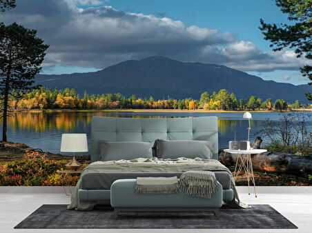 Göl ve Orman Manzara Duvar Kağıdı