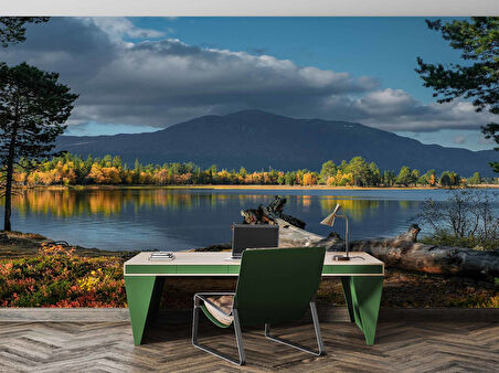 Göl ve Orman Manzara Duvar Kağıdı