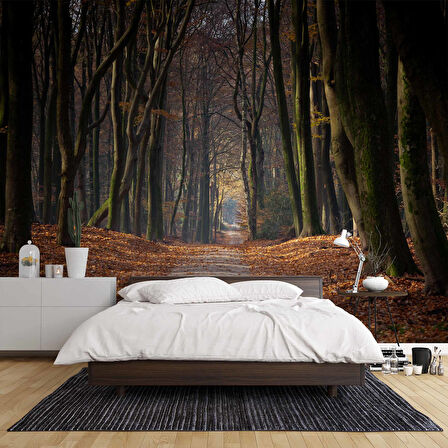 Orman Yolu Manzaralı Duvar Kağıdı