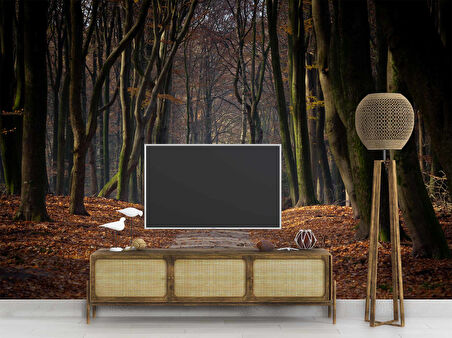 Orman Yolu Manzaralı Duvar Kağıdı