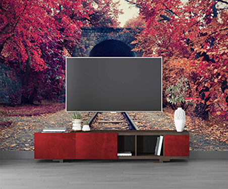 Sonbahar Tren Yolu Tüneli Manzaralı Duvar Kağıdı