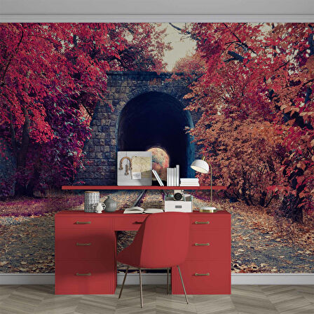 Sonbahar Tren Yolu Tüneli Manzaralı Duvar Kağıdı