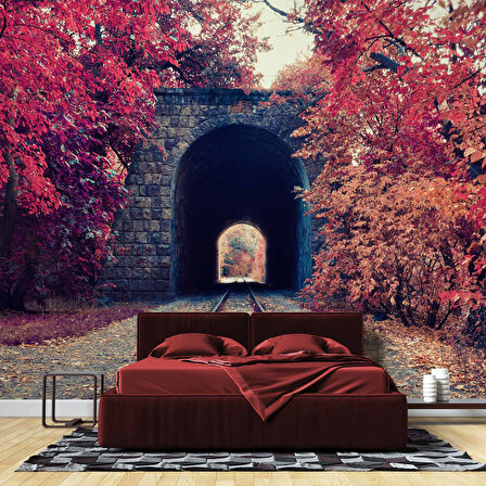 Sonbahar Tren Yolu Tüneli Manzaralı Duvar Kağıdı