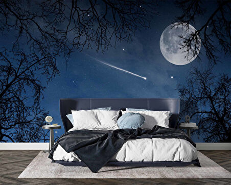 Gece, Ay ve Yıldız Gökyüzü Manzaralı Duvar Kağıdı