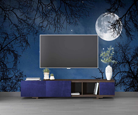 Gece, Ay ve Yıldız Gökyüzü Manzaralı Duvar Kağıdı