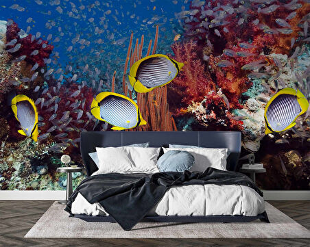 Akvaryum ve Deniz Manzaralı Duvar Kağıdı