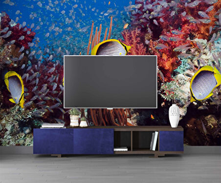 Akvaryum ve Deniz Manzaralı Duvar Kağıdı