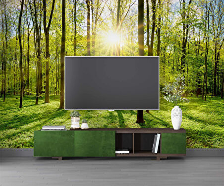 Doğa, Orman ve Ağaç Duvar Kağıdı