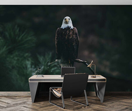 Kartal Temalı Duvar Kağıdı Baskı