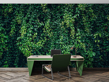 Sarmaşıklı Yaprak Temalı Duvar Kağıdı Baskı