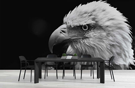 Siyah Beyaz Kartal Temalı Duvar Kağıdı Baskı