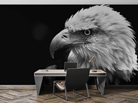 Siyah Beyaz Kartal Temalı Duvar Kağıdı Baskı