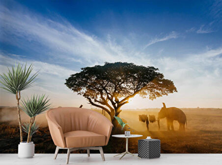 Gündoğumu Ağaç ve Fil Temalı Duvar Kağıdı Baskı