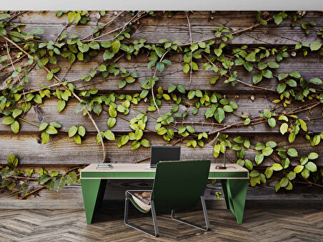 Sarmaşık Ahşap Duvar Kağıdı Baskı