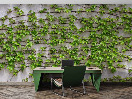 Sarmaşıklı Duvar Teması Duvar Kağıdı Baskı