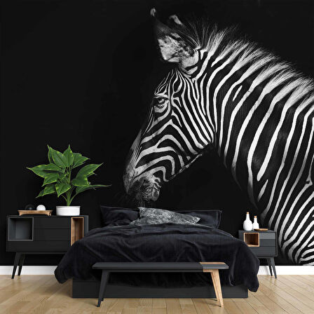 Zebra Temalı Duvar Kağıdı Baskı