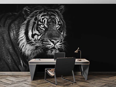 Siyah Beyaz Kaplan Temalı Duvar Kağıdı Baskı