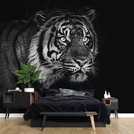 Siyah Beyaz Kaplan Temalı Duvar Kağıdı Baskı