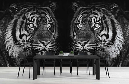 Siyah Beyaz Kaplan Temalı Duvar Kağıdı Baskı