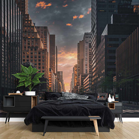 Sokak ve Yaya geçiti Temalı Duvar Kağıdı Baskı