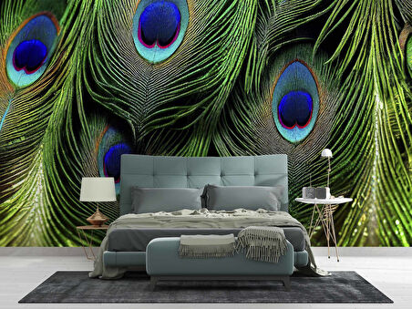 Tavus Kuşu Tüyü Desenli Duvar Kağıdı Baskı