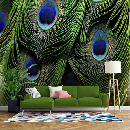 Tavus Kuşu Tüyü Desenli Duvar Kağıdı Baskı