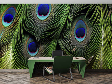 Tavus Kuşu Tüyü Desenli Duvar Kağıdı Baskı