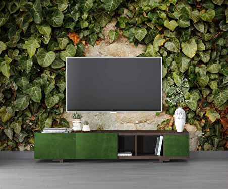 Duvar Dokusu ve Sarmaşık Duvar Kağıdı Baskı