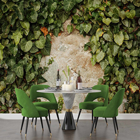 Duvar Dokusu ve Sarmaşık Duvar Kağıdı Baskı