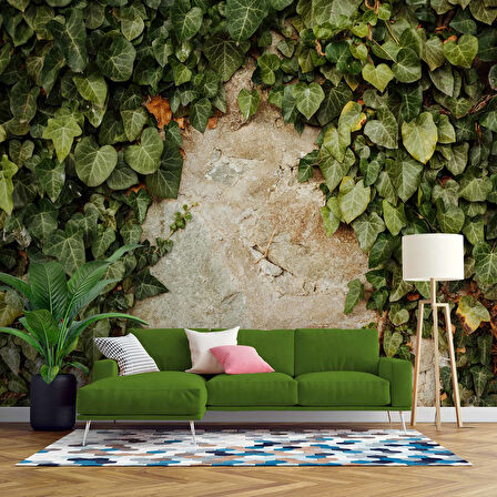 Duvar Dokusu ve Sarmaşık Duvar Kağıdı Baskı