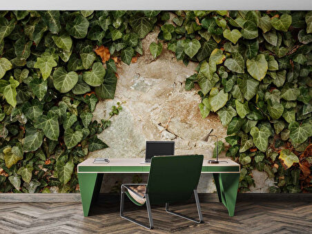 Duvar Dokusu ve Sarmaşık Duvar Kağıdı Baskı