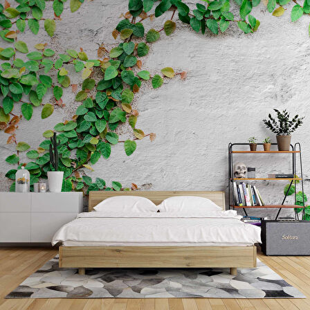 Duvar Sarmaşık Temalı Duvar Kağıdı Baskı