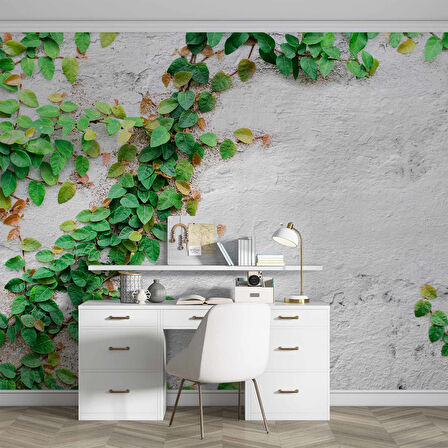 Duvar Sarmaşık Temalı Duvar Kağıdı Baskı