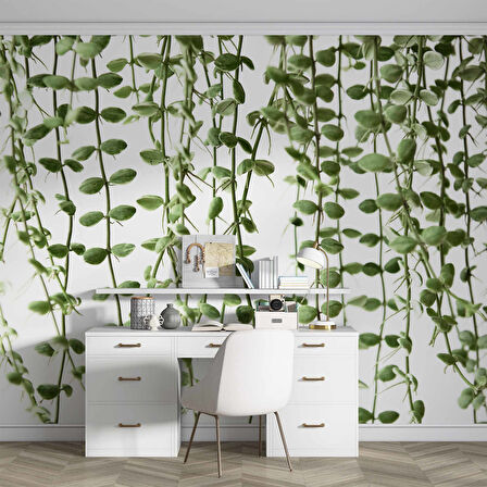 Aşağıya Sarkan Sarmaşık Temalı Duvar Kağıdı