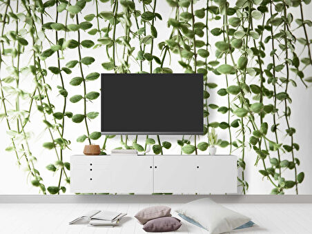 Aşağıya Sarkan Sarmaşık Temalı Duvar Kağıdı