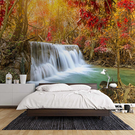 Sonbahar Orman ve Şelale Manzaralı Duvar Kağıdı