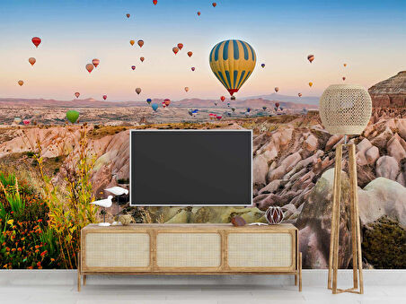 Kapodakya Sıcak Hava Balon Manzaralı Duvar Kağıdı