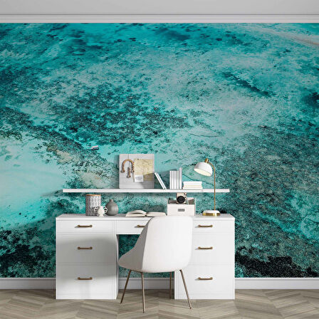 Şeffaf Deniz Manzaralı Duvar Kağıdı