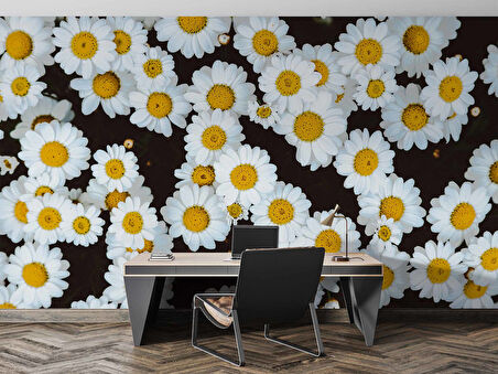 Papatya Temalı Duvar Kağıdı Baskı