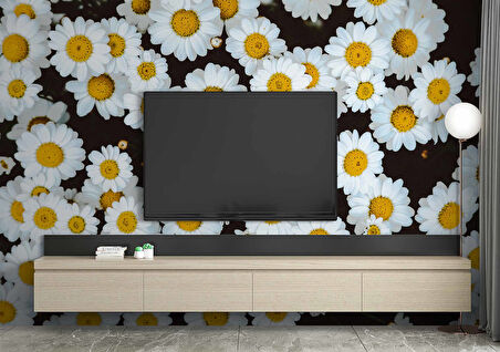 Papatya Temalı Duvar Kağıdı Baskı