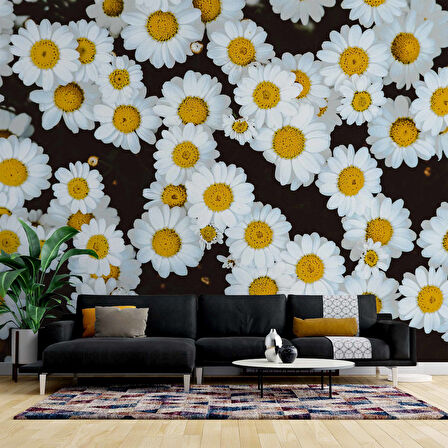 Papatya Temalı Duvar Kağıdı Baskı