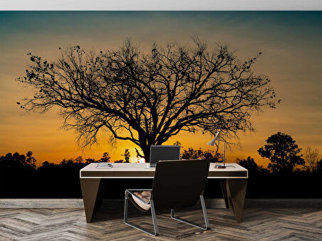 Gün Batımı ve Ağaç Temalı Duvar Kağıdı Baskı