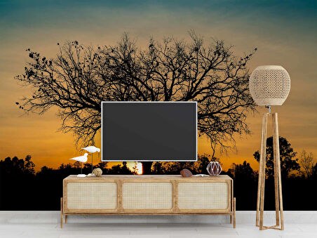 Gün Batımı ve Ağaç Temalı Duvar Kağıdı Baskı