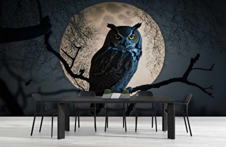 Baykuş ve Ay Temalı Duvar Kağıdı Baskı