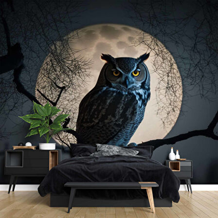 Baykuş ve Ay Temalı Duvar Kağıdı Baskı