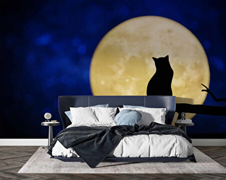 Kedi ve Ay Temalı Duvar Kağıdı Baskı