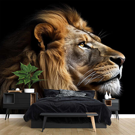 Siyah Zemin ve Aslan Temalı Duvar Kağıdı