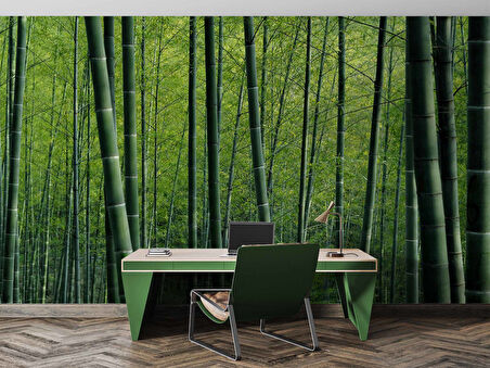 Bambu Ormanı Manzaralı Duvar Kağıdı