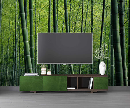 Bambu Ormanı Manzaralı Duvar Kağıdı