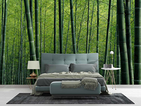 Bambu Ormanı Manzaralı Duvar Kağıdı